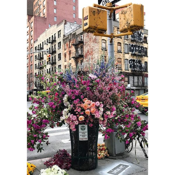 Puzzle 300 piezas Flores en NY