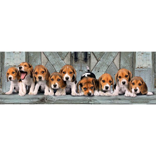Puzzle 1000 piezas Panorama Beagles perros