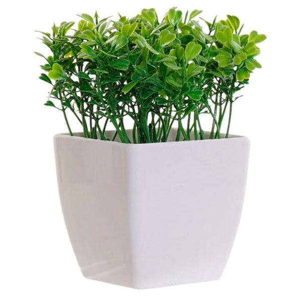 Maceta con planta arbusto verde 15x4 - 3 modelos
